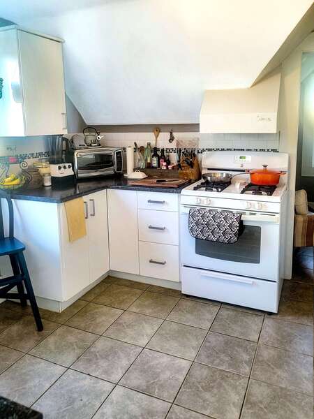 Stunning City View Condos For Rent With Gourmet Kitchen And Gas Stove image
